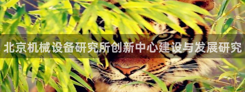 琥珀鸿运是什么平台