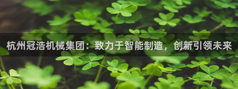 鸿运聊平台