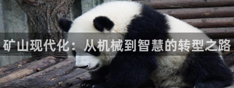鸿运福彩平台