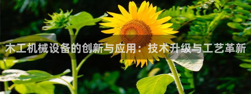 鸿运钱包平台正规吗