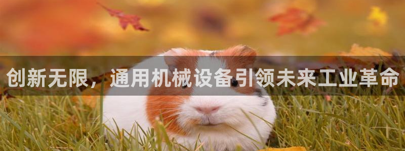 鸿运棋牌平台
