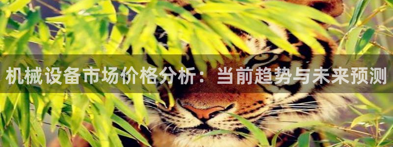 琥珀鸿运是什么平台