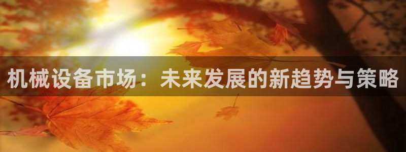 鸿运连锁管理平台