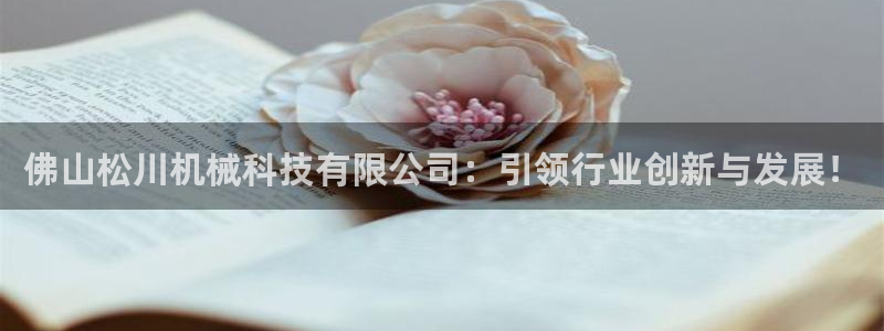 鸿运到平台注册