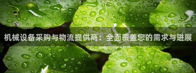 鸿运展业平台