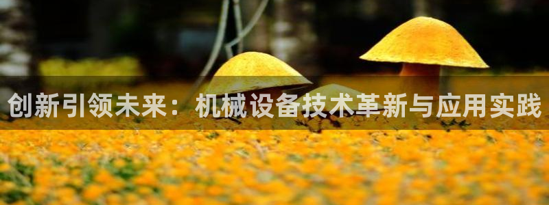 鸿运供应管理平台