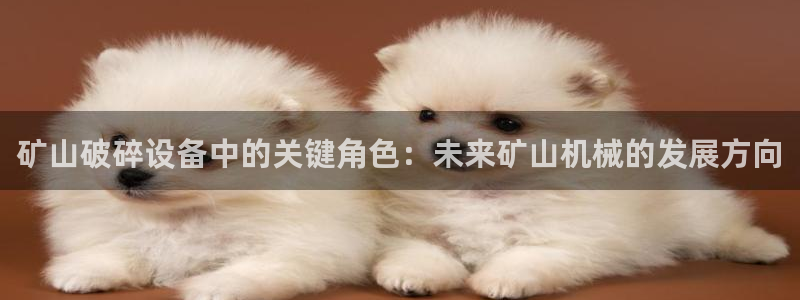 琥珀鸿运平台