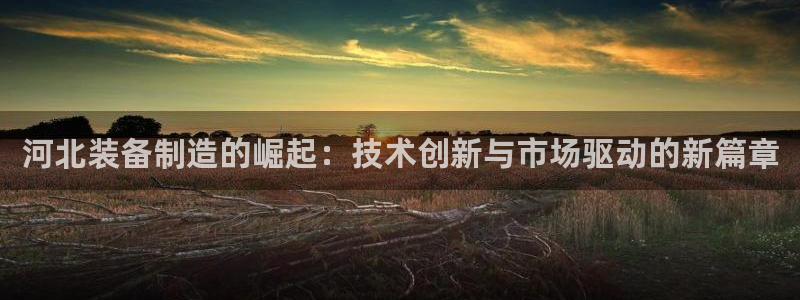会员鸿运国际平台