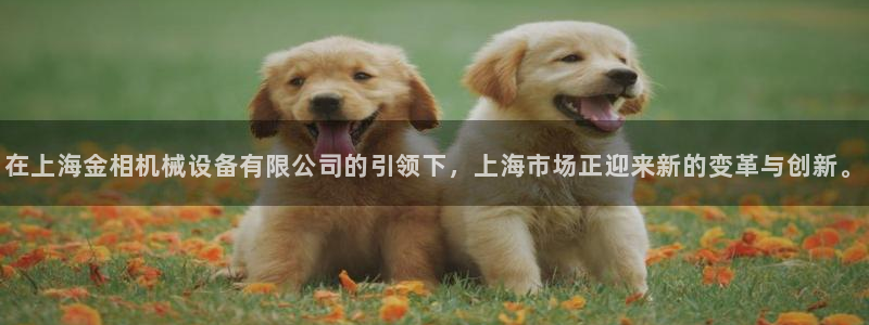 鸿运国际彩票平台
