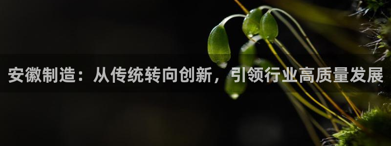 鸿运国际平台台