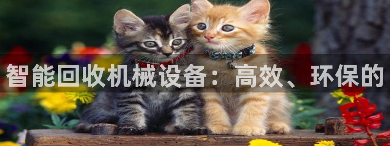 鸿运当头借贷平台